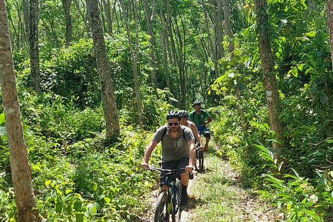 Half-Day Countryside Cycling Small-group Tour in Phuket - Pineapple fields, rubber trees, and working farms