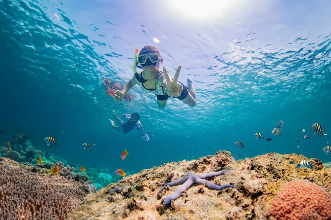 Half day Tropical Coral Island Snorkeling Tour from Phuket - Key points to know before you book
