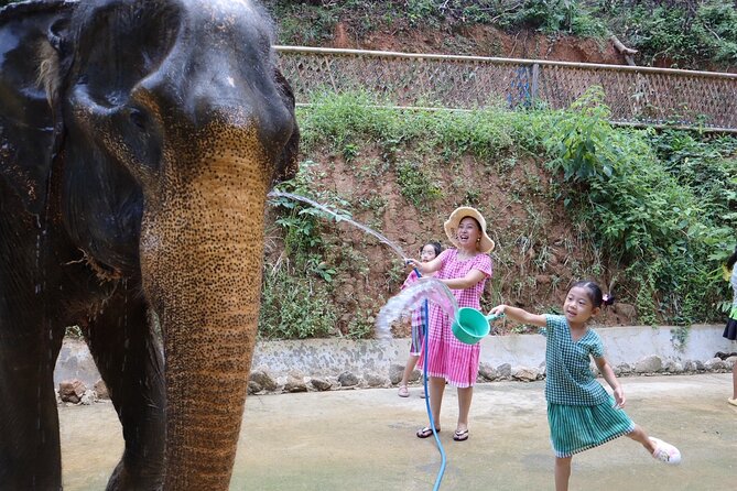 Half day with Elephants at Patong Elephant Hug (No ride No trick) - The shower and spa activities