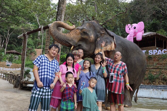 Half day with Elephants at Patong Elephant Hug (No ride No trick) - Ethical questions worth considering
