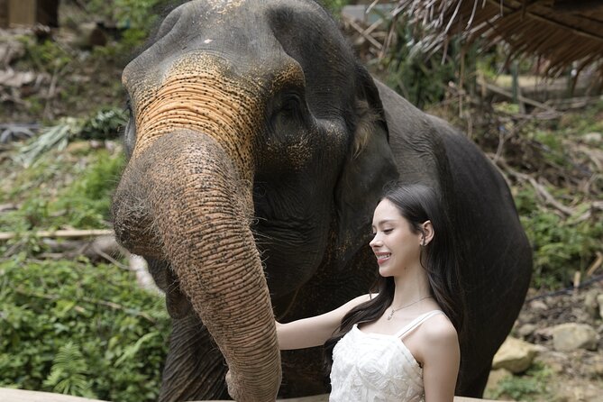 Half day with Elephants at Patong Elephant Hug (No ride No trick) - Is $32.50 good value?