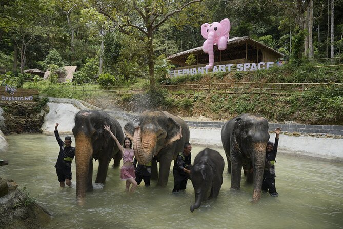 Half day with Elephants at Patong Elephant Hug (No ride No trick) - Who will enjoy this most