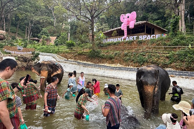 Half day with Elephants at Patong Elephant Hug （No ride No trick） - Feeding, vitamin balls, and elephant care