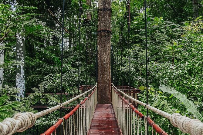 Hanuman World Zipline & Skywalk Phuket - Pickup areas and meeting-point details