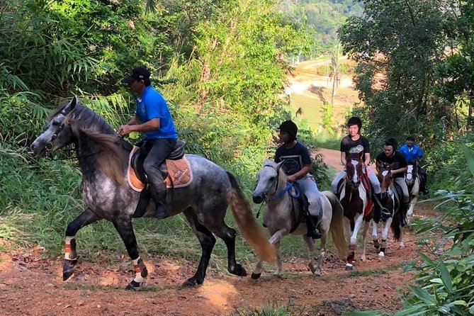 Horseback Riding 1 hour trail - A Short Ride Above Chalong