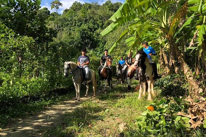 Horseback Riding 1 hour trail - Why the Private Format Helps