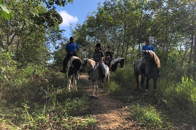 Horseback Riding 1 hour trail - Who Should Book This Ride?