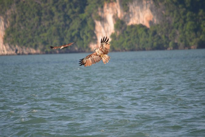 John Gray's Adventure Hong by Starlight in Phang Nga Bay - Food, drinks, and what the price includes
