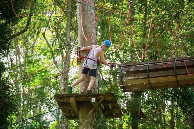 Jungle Xtreme Adventures and Zipline - What the canopy course feels like
