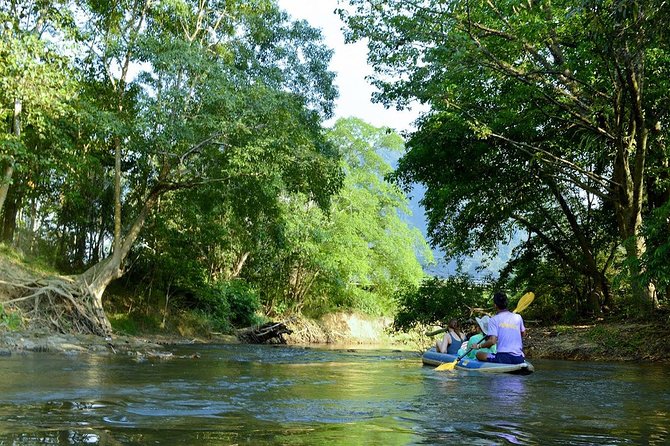 Khao Sok Adventure: Jungle Safari in Thailand’s Oldest Rainforest - What the guides and small group add