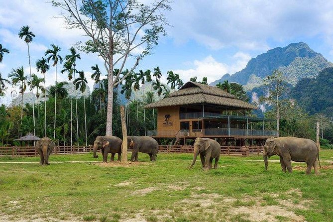 Khao Sok National Park Jungle Safari Full Day Tour from Phuket - Timing, fitness, and what to pack