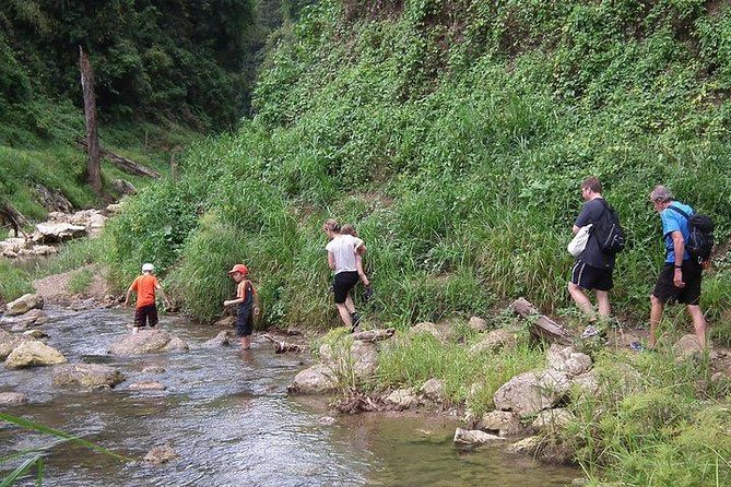 Khao Sok National Park Jungle Safari Full Day Tour from Phuket - Who should book this Khao Sok day trip
