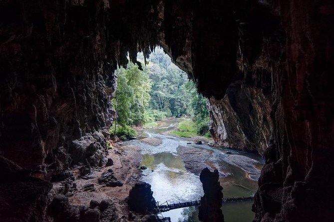 Luxury Speedboat : Day trip to PhiPhi with National Park fee - Lunch on Phi Phi Don