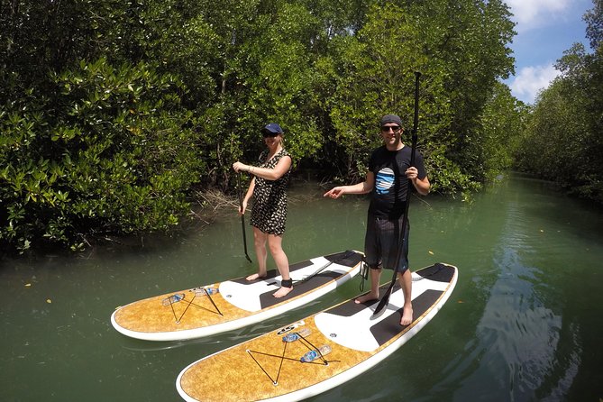 Mangroves SUP Tour Phuket - From the river toward Phang Nga Bay