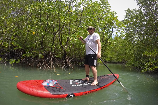 Mangroves SUP Tour Phuket - Why the private format matters