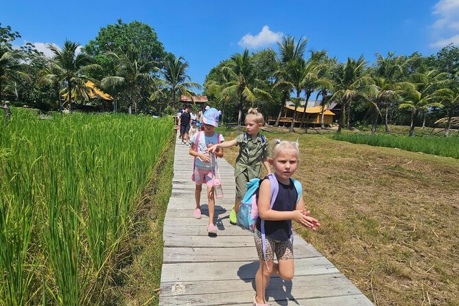 Old Phuket Farm Ticket - Countryside Local Life Culture - Rice fields and the work behind a staple food