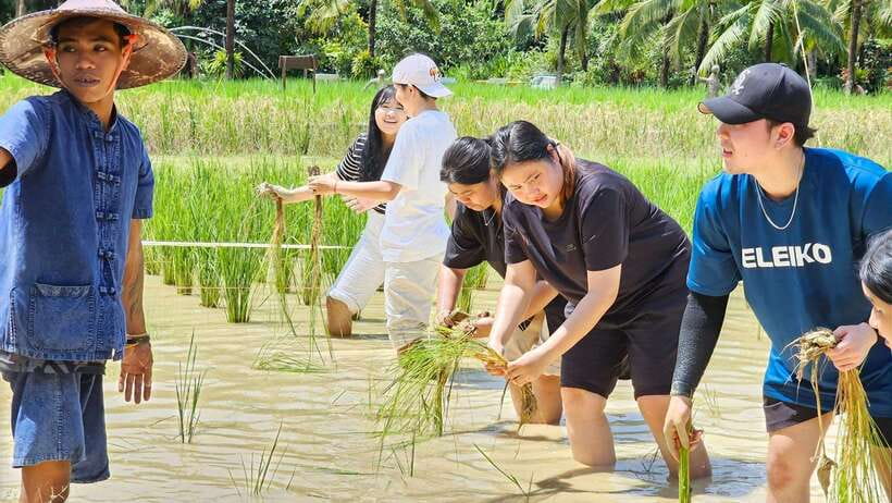 Old Phuket Farm Ticket - Countryside Local Life Culture - What two hours really gives you