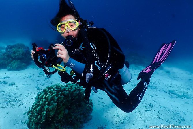 Open water scuba certifiication course with beach dives - Days two and three: four beach training sessions