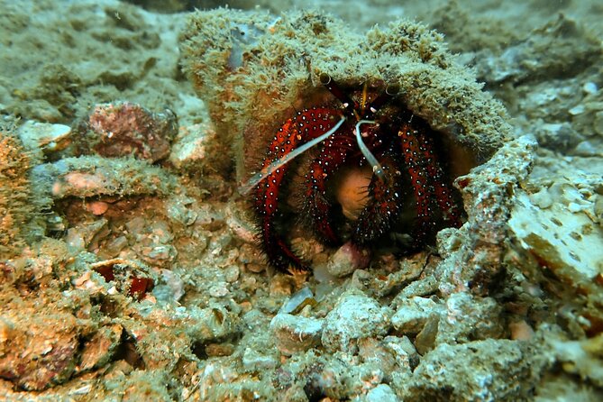 PADI Discover Scuba 2 Times Diving Phuket - Why the instructors matter for first-timers