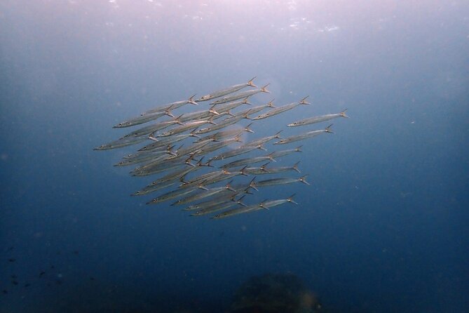 PADI Discover Scuba 2 Times Diving Phuket - Two sessions give you time to settle in