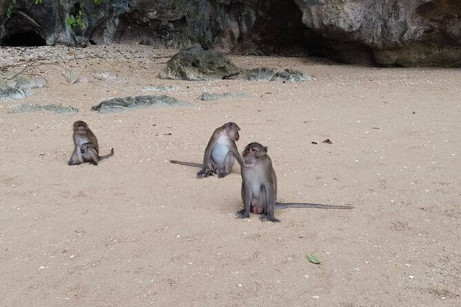 Phang Nga Bay Island Boat Tour By Speedboat By Phuket Sail Tours - Panyee village and lunch over the water