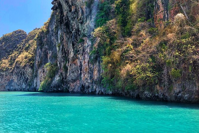 Phang Nga Bay Private Bioluminescence and Sea Canoeing Tour - Who gets the best value from this tour