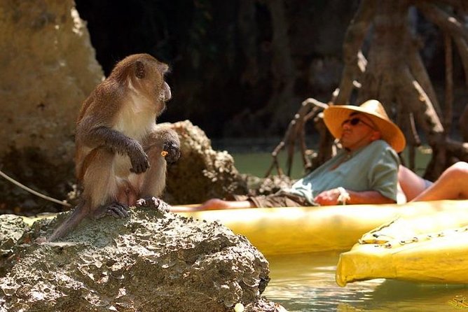 Phang Nga Bay Starlight by John Gray Sea Canoe - What the $125.11 price really covers