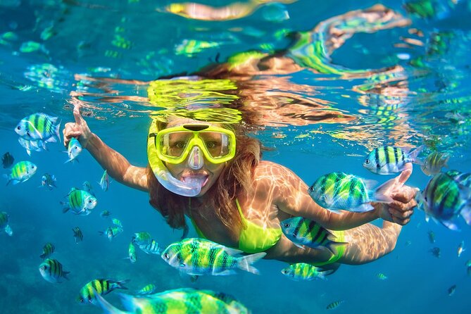 Phi Phi and Khai Islands Snorkeling Tour with Lunch by Speedboat - Phi Phi Leh, Maya Bay, and Pileh Lagoon