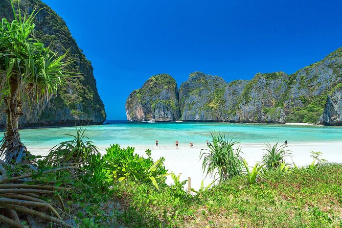 Phi Phi & Bamboo Island Full Day Tour by Premium Speed-Catamaran - Is $97 good value from Phuket?