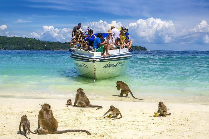 Phi Phi Island from Phuket by Speedboat (SHA Plus) - Phi Phi Don combines lunch with beach time
