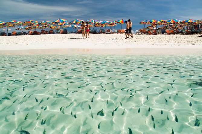 Phi Phi Island from Phuket by Speedboat (SHA Plus) - Phi Phi Leh brings the famous scenery