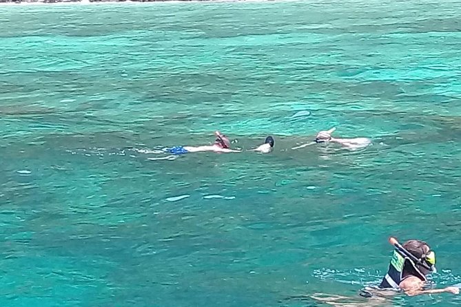 Phi Phi Islands and Khai Island Day Tour from Phuket by Speedboat - Monkey Beach: fun with a clear warning