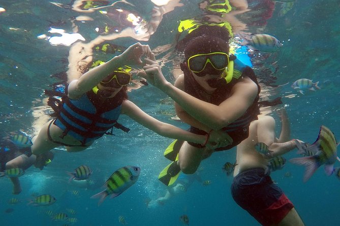 Phi Phi Islands Day Tour Bamboo and Maya Bay with Lunch By Speedboat - Monkey Beach is a boat-side wildlife stop