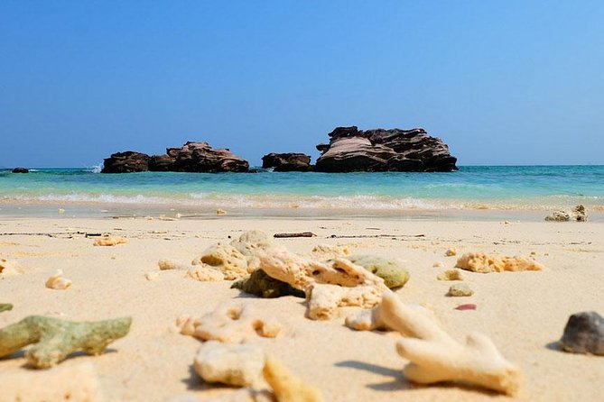 Phi Phi Islands One Day Tour by Speedboat From Phuket - Monkey Beach is a quick wildlife stop