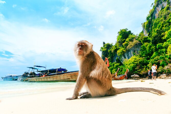 Phi Phi, James Bond & Krabi Overnight - Exclusive 2D1N - Checking in on Phi Phi Don