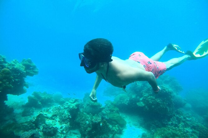 Phi Phi & Khai Islands Speedboat Tour from Phuket with Snorkeling - Key points to know before booking