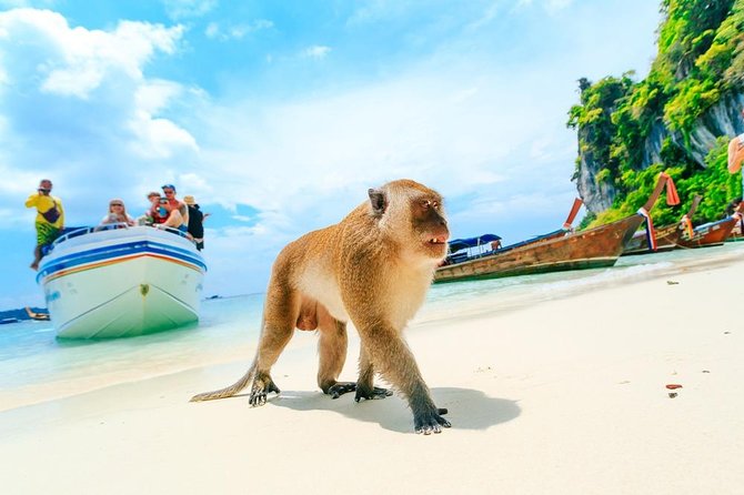 Phi Phi , Khai & Maya : Unforgettable Island Hopping by Speedboat - Maya Bay, the famous beach with a major caveat