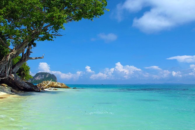 Phi Phi & Maya Bay Speedboat: All-Day Food & Choice of 3 Marinas - Monkey Beach and Loh Samah Bay