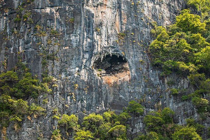 Phi Phi, Maya, Khai and Pileh Day Trip by Speed Catamaran From Phuket - Khai Nai for the last swim