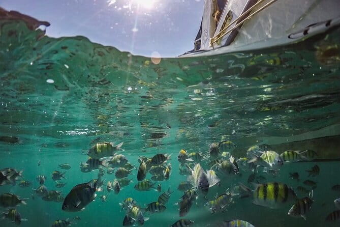 Phi Phi with Maya and Bamboo Island Day Trip by Speedboat - Phi Phi Don brings lunch and a change of pace