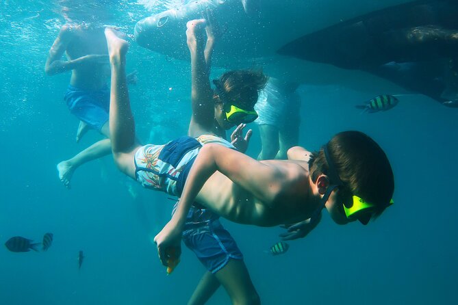 Phuket 3 Khai Island Speedboat With Snorkeling (Half or Full Day) - Transfers are helpful, but allow extra time