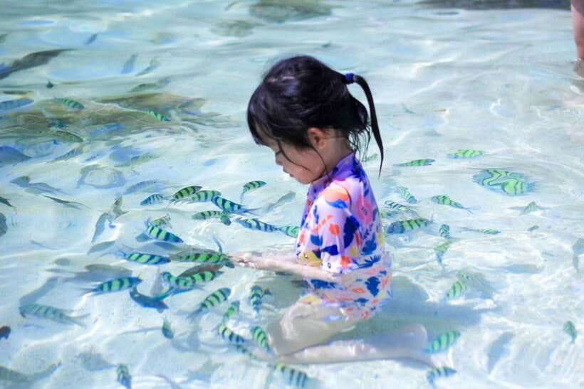 Phuket: 3 Khai Islands Relax & Snorkeling Half/Full Day Tour - The speedboat is fast, but not soft