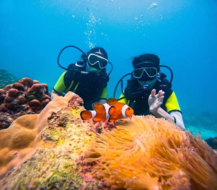 Phuket: 3 Khai Islands Speedboat Tour- Snorkeling & Relaxing - Morning, afternoon, or full day?