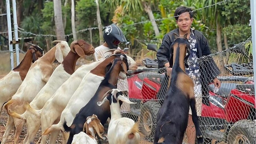 Phuket: ATV Ride with Secret Sea Viewpoints and Swing - Value at about $37 per person
