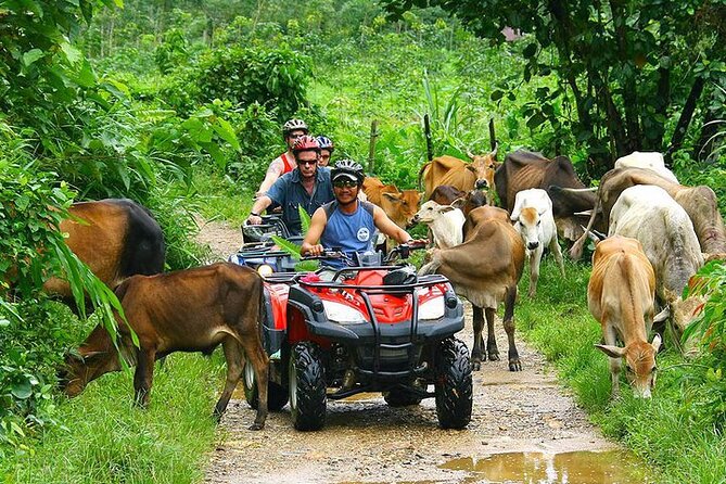 Phuket ATV Seaview On Tour - Small groups and helpful guides