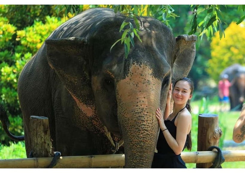 Phuket: Bamboo Rafting & ATV Ride (Optional) - Who should book this Phuket adventure
