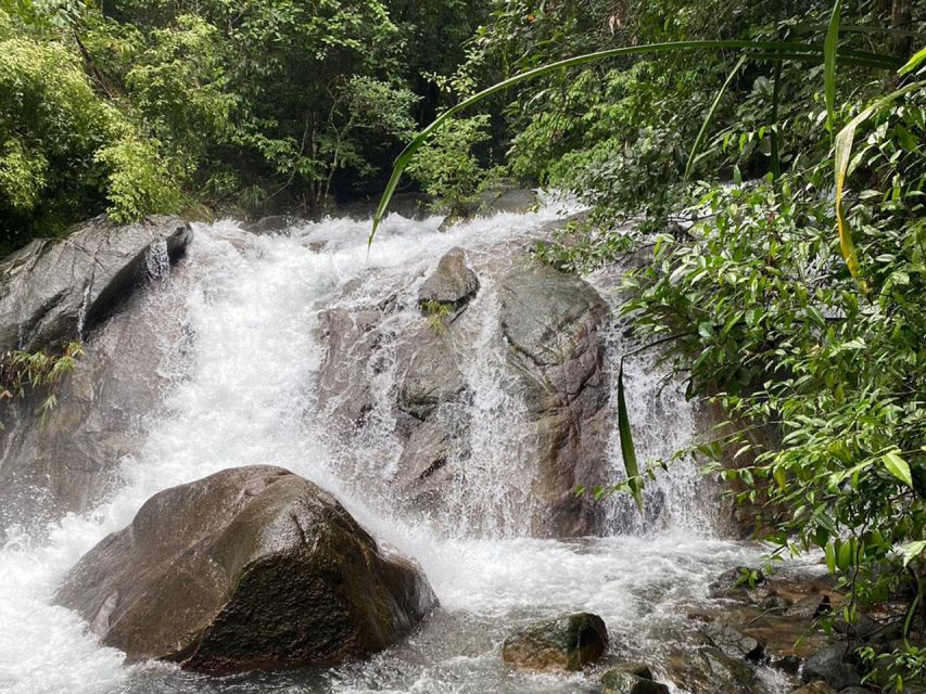 Phuket: Bamboo Rafting, Monkey Cave, and ATV Option - The elephant issue deserves a clear warning