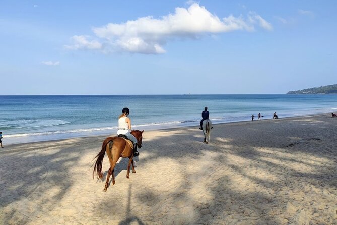 Phuket Beach and Horse Rides 1 Hour Experience - The horses and the people who handle them