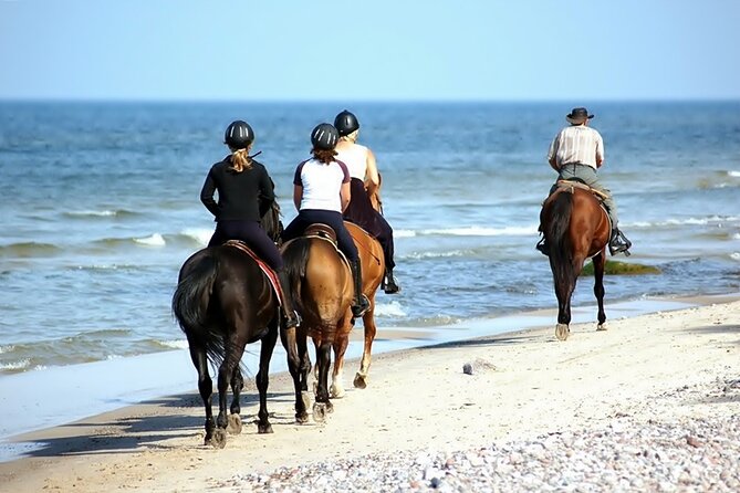 Phuket Beach and Horse Rides 1 Hour Experience - Timing, group size, and booking cautions