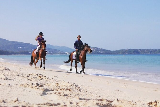 Phuket Beach and Horse Rides 1 Hour Experience - Who will enjoy this beach ride most